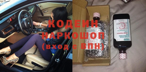стаф Осинники