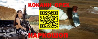 молекула духа Камышлов
