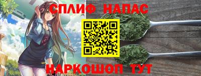 молекула духа Камышлов