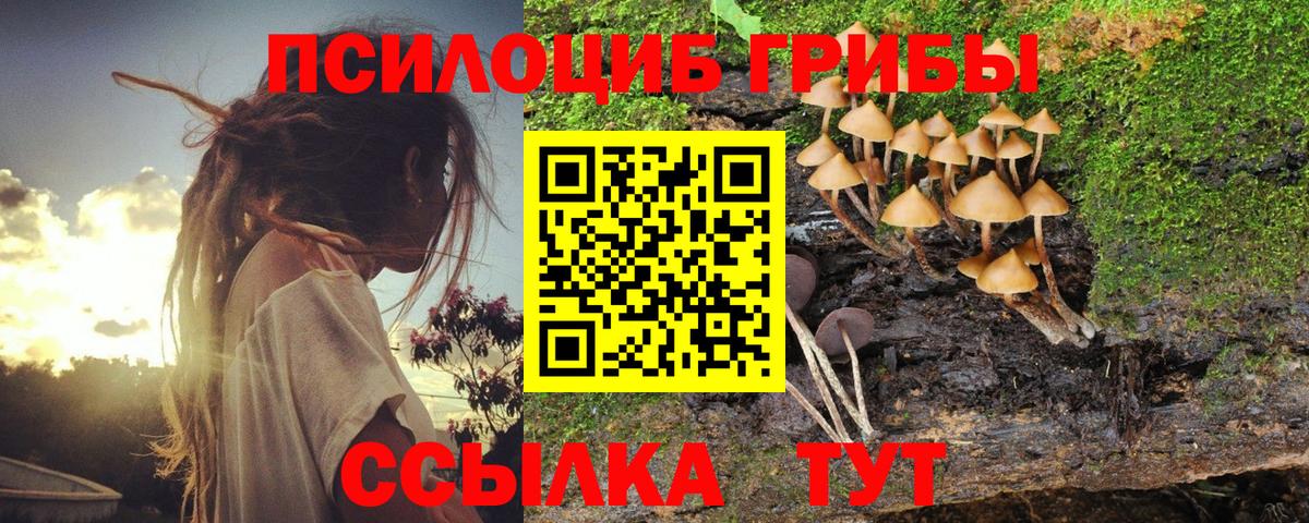 Псилоцибиновые грибы GOLDEN TEACHER  Галлюциногенные грибы Psilocybe  Ленинск-Кузнецкий  Вход с VPN 